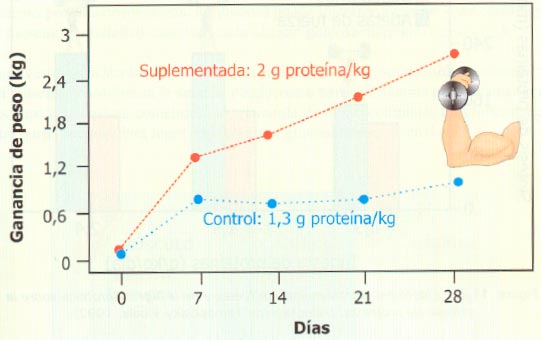 Efecto del incremento de la proteína de la dieta sobre la ganancia de peso corporal tras cuatro semanas de entrenamiento de fuerza. (Tomado de González Gallego et al. 2006. Nutrición en el deporte. Ayudas ergogénicas y dopaje)