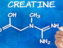 Creatina - Ibiza Entrena