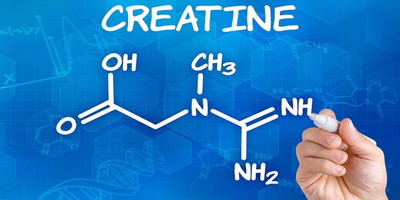 Creatina - Ibiza Entrena